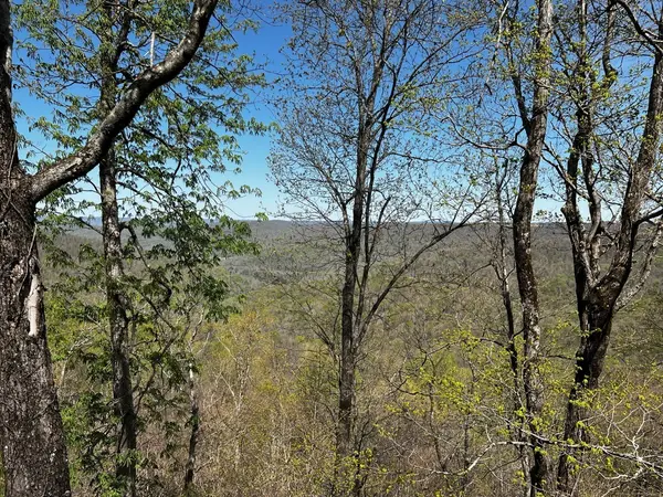 0 Gap Road, Altamont, TN 37301