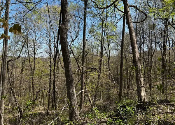 0 Gap Road, Altamont, TN 37301