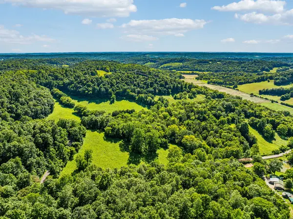 0 Robinson Rd, Frankewing, TN 38459