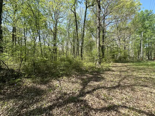2 Primm Road, Ashland City, TN 37015