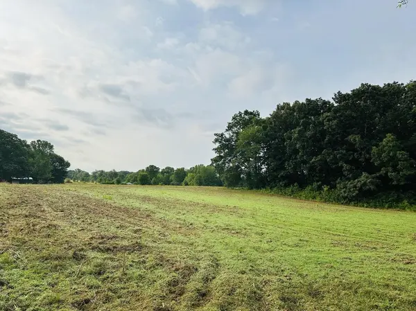 0 N Old Military Road, Summertown, TN 38483