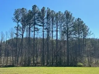 1759 Bear Creek Rd, Collinwood, TN 38450
