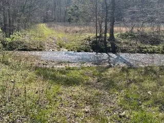 1759 Bear Creek Rd, Collinwood, TN 38450