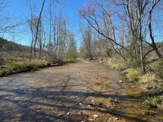 1759 Bear Creek Rd, Collinwood, TN 38450