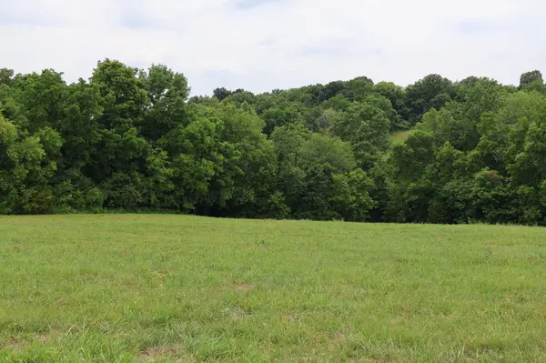 0 Akin Ridge Road, Williamsport, TN 38487