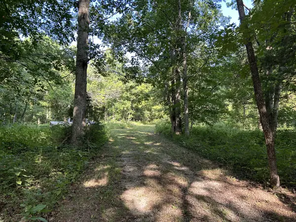 11225 Manchester Pike, Christiana, TN 37037