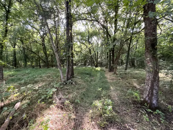 1150 Kingwood Ln, Rockvale, TN 37153