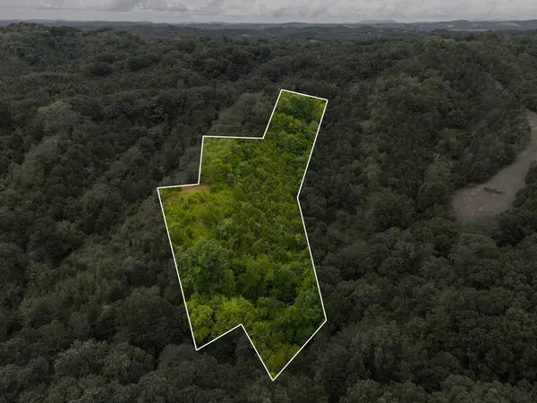 0 Witt Hollow Road, Sevierville, TN 37876