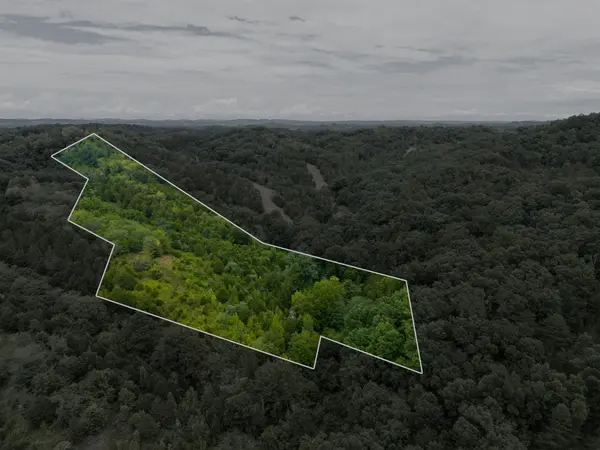 0 Witt Hollow Road, Sevierville, TN 37876