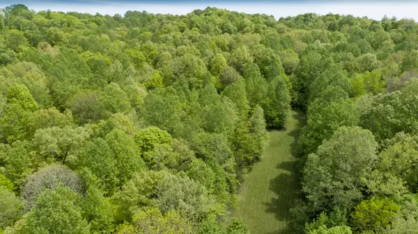 1120 Montgomery County Line Rd, Cunningham, TN 37052