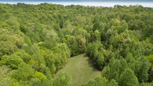 1120 Montgomery County Line Rd, Cunningham, TN 37052