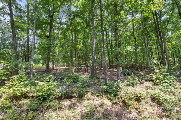 0 Eagle Shore Dr, Dover, TN 37058