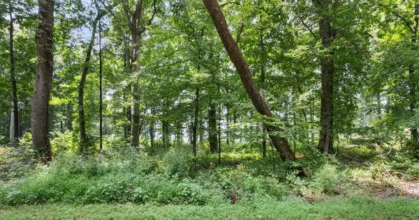0 Eagle Shore Dr, Dover, TN 37058
