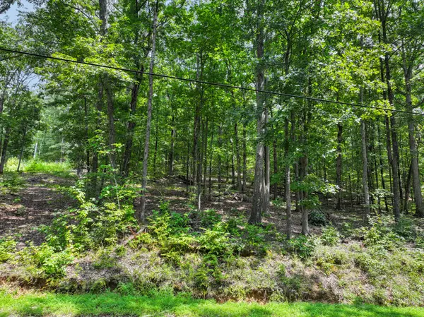 0 Eagle Shore Dr, Dover, TN 37058