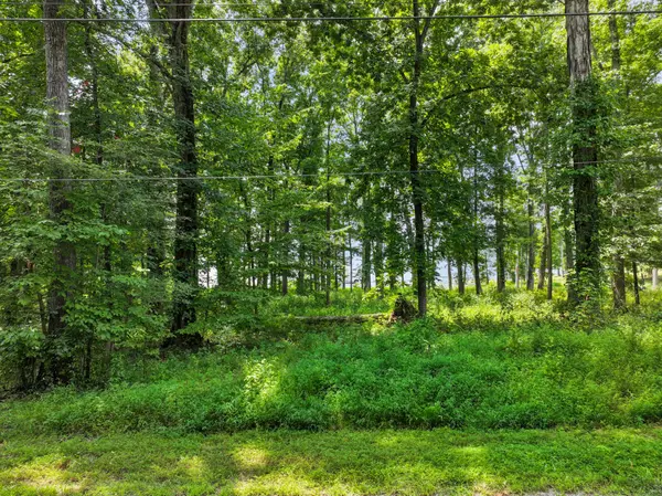 0 Eagle Shore Dr, Dover, TN 37058