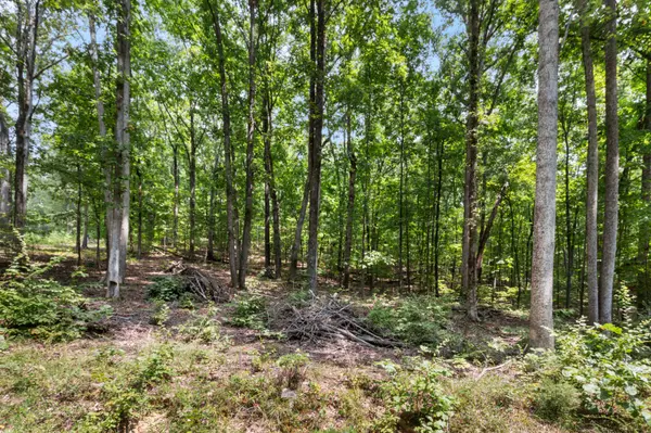 0 Eagle Shore Dr, Dover, TN 37058