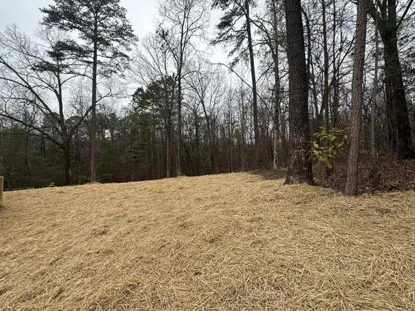125 N Fox Run Circle, Flintstone, GA 30725