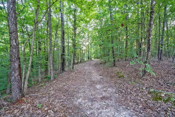 100 Deer Lick Trl, Dover, TN 37058