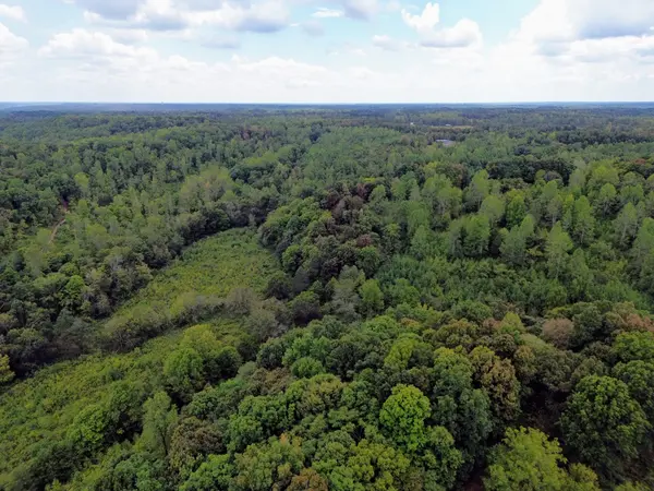 0 Salem Minor Hill Rd, Lester, AL 35647