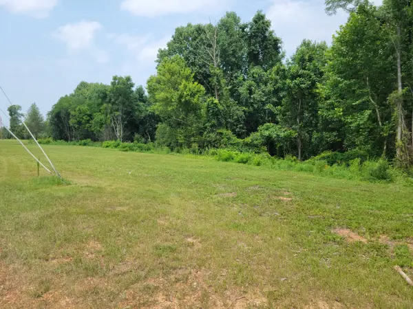 150 Happy Hollow Rd, Hohenwald, TN 38462