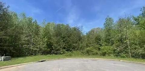 1000 Big Cedar Drive, Dunlap, TN 37327