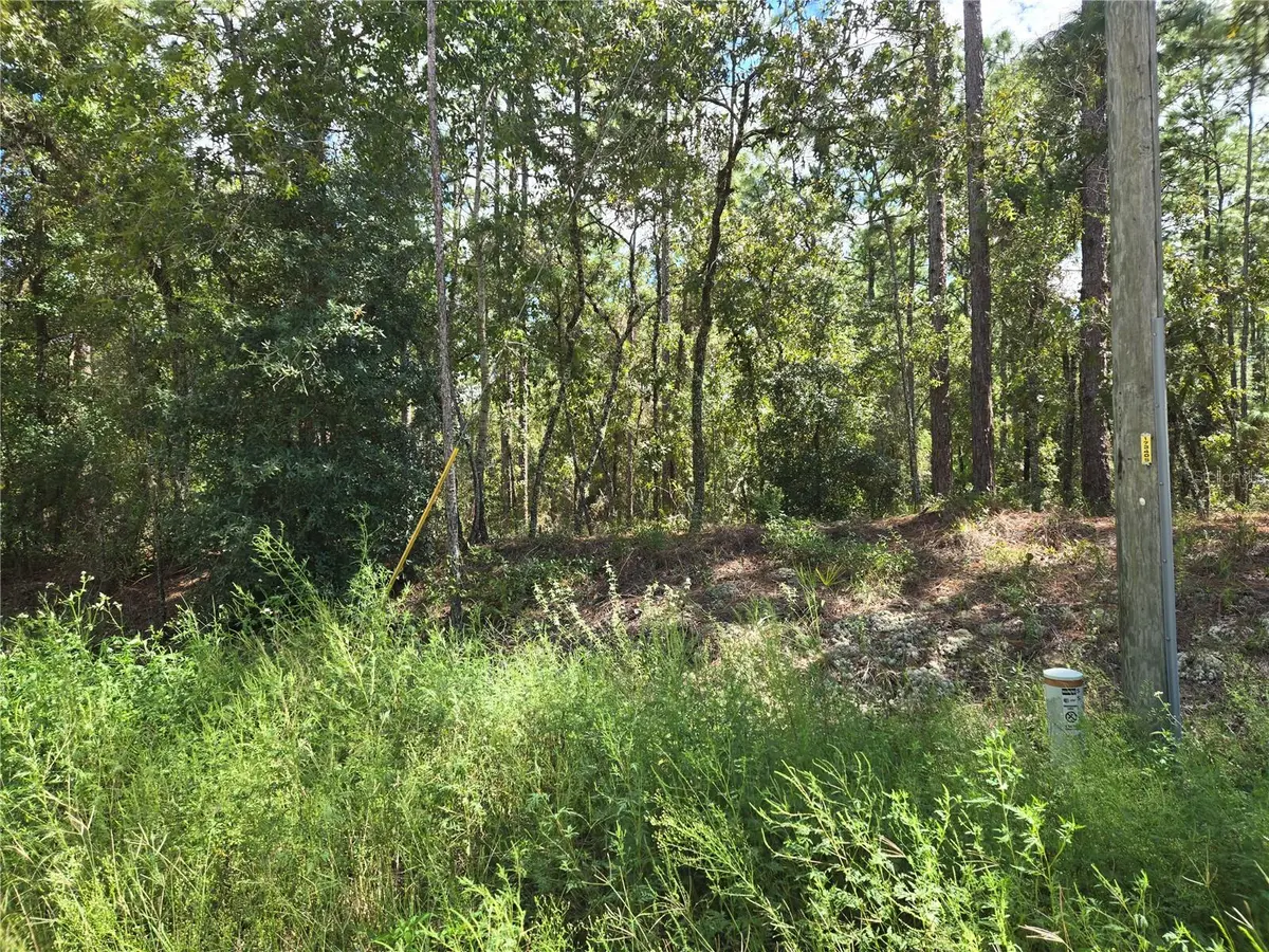 SW 76TH LN, Dunnellon, FL 34432