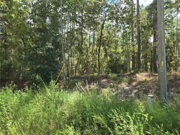 SW 76TH LN, Dunnellon, FL 34432