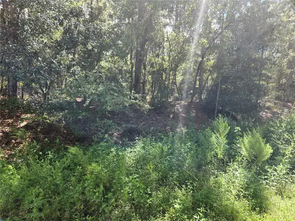 SW 76TH LN, Dunnellon, FL 34432