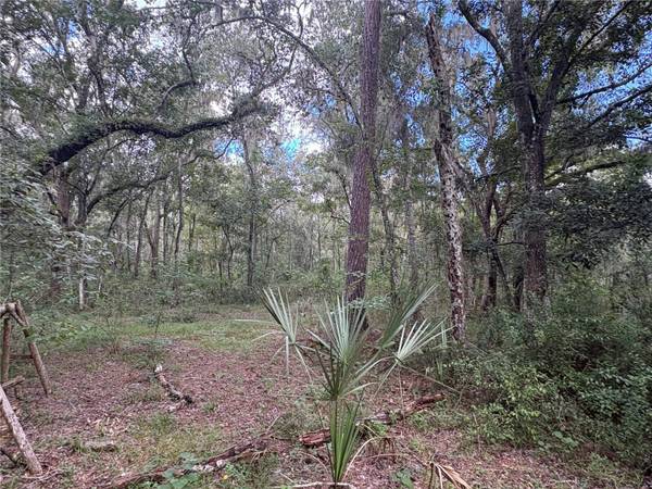 20327 POWELL RD, Brooksville, FL, 34604 photo 15