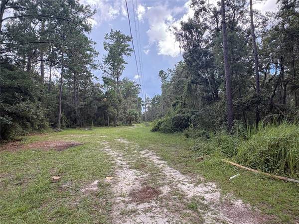 20327 POWELL RD, Brooksville, FL, 34604 photo 12