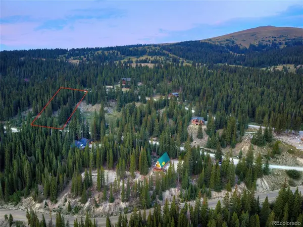 275 Lakeview, Alma, CO 80420