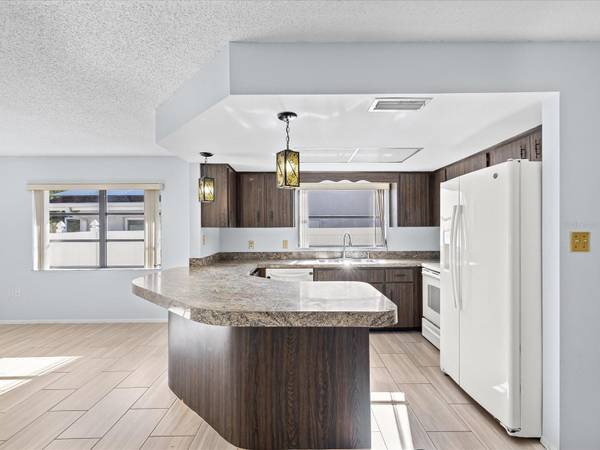 6907 BOTTLE BRUSH DR, Port Richey, FL, 34668 photo 3