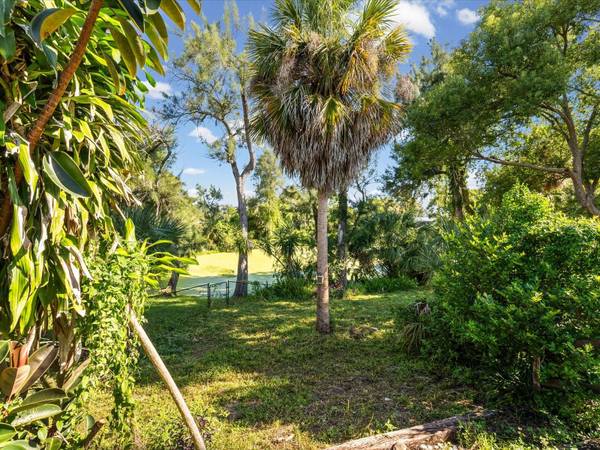 6907 BOTTLE BRUSH DR, Port Richey, FL, 34668 photo 39