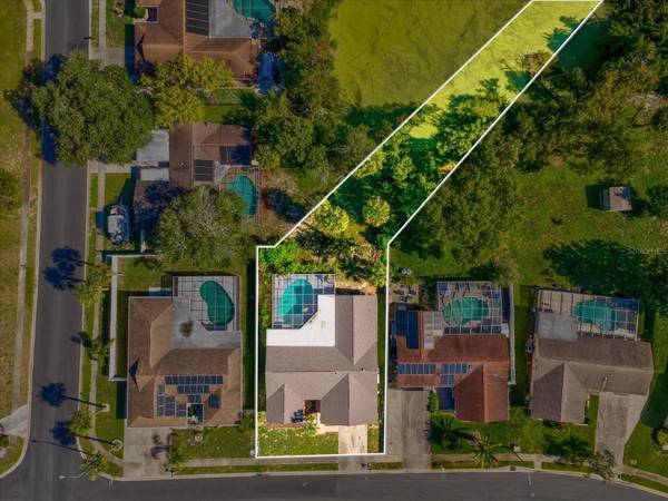 6907 BOTTLE BRUSH DR, Port Richey, FL, 34668 photo 46