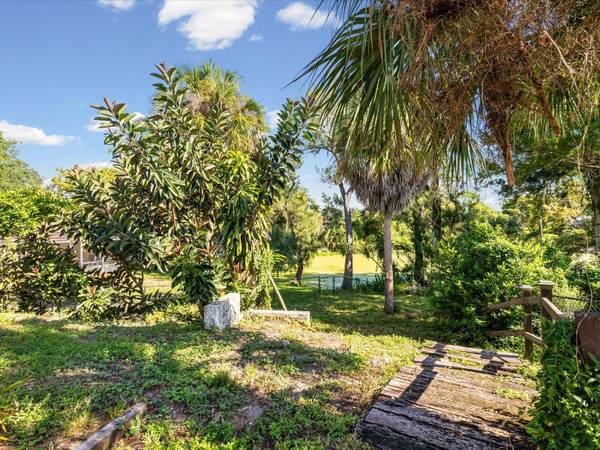 6907 BOTTLE BRUSH DR, Port Richey, FL, 34668 photo 37