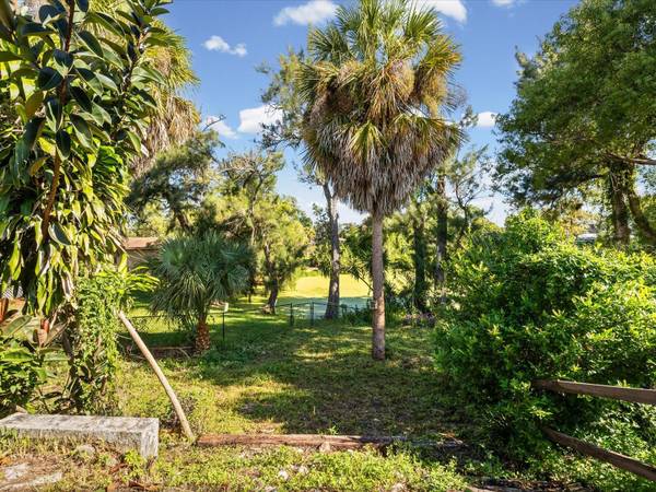6907 BOTTLE BRUSH DR, Port Richey, FL, 34668 photo 38