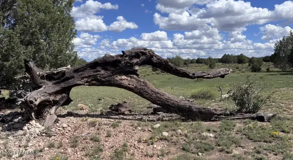 886 SW Westwood Ranch, Williams, AZ 86046