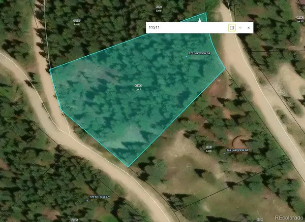 275 Lakeview DR, Alma, CO 80420