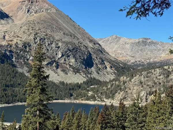 275 Lakeview DR, Alma, CO 80420