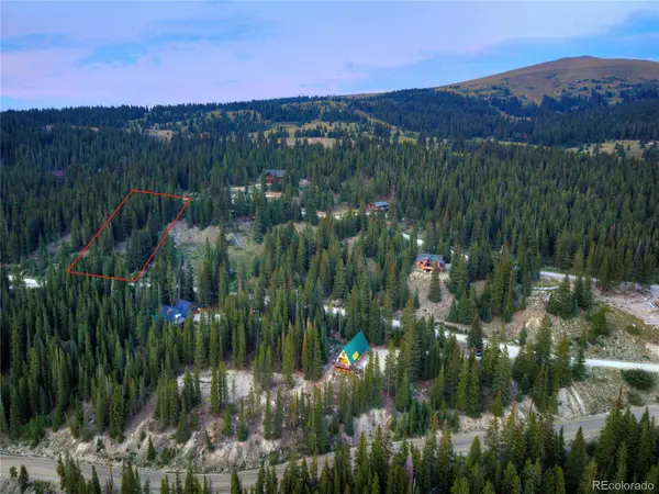 275 Lakeview DR, Alma, CO 80420