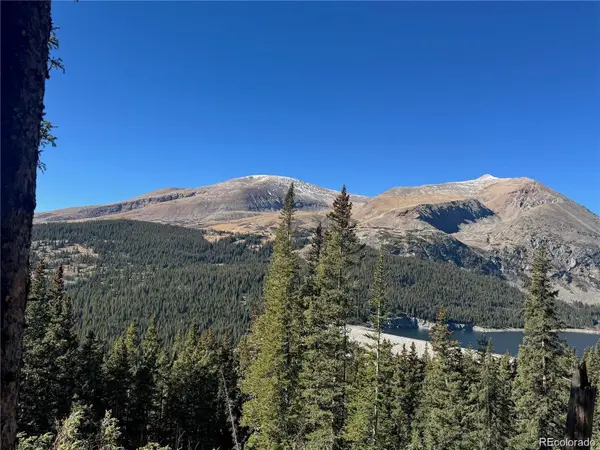 275 Lakeview DR, Alma, CO 80420