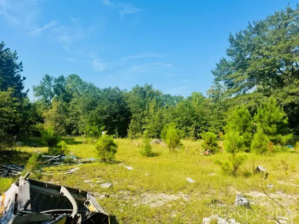 499 Mac Jowers LN, Jefferson, SC 29718