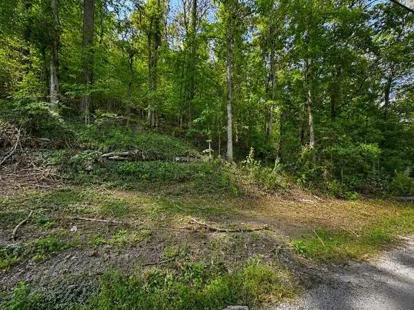 0 Halls Hollow Rd, Smithville, TN 37166