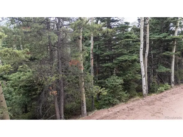 2915 Henderson, Fort Garland, CO 81133
