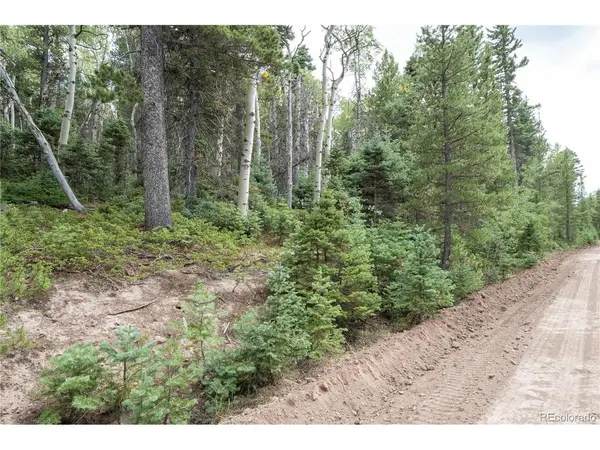 2260 Speciale, Fort Garland, CO 81133