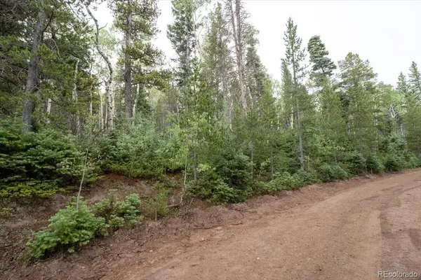 Lot 2260 Speciale PL, Fort Garland, CO 81133