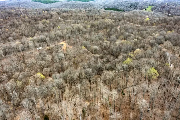 0 Lineport Road, Bumpus Mills, TN 37028