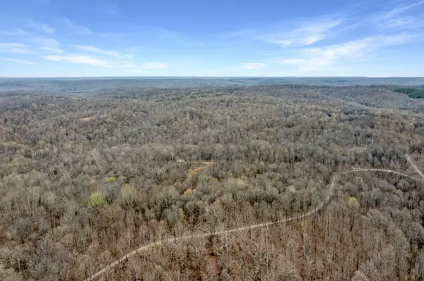 0 Lineport Road, Bumpus Mills, TN 37028