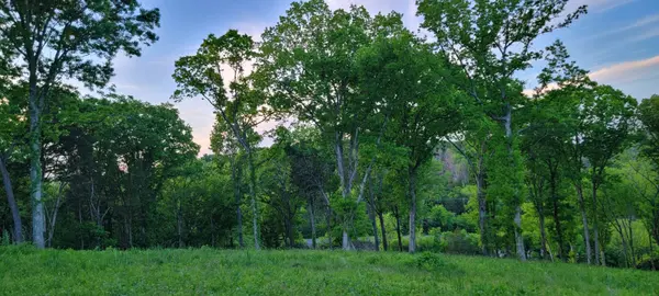 0 Poplar Bluff Rd #W, Auburntown, TN 37016