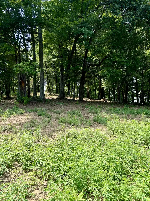 0 John Brinkley Road, Shelbyville, TN 37160